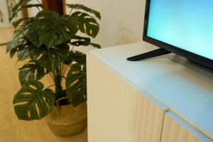 stayok Okpo, center of Geoje