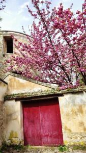 Appartements Studio et Japan Room - Proche Disneyland Paris : photos des chambres