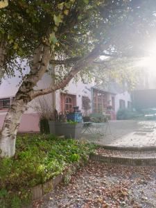 Appartements Les Chanterelles La souris des champs : photos des chambres