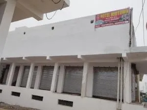 TOWN Palace hotel - Saurikh