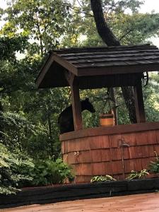 Mountain View Retreats