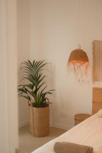 Casa Cactus - heated pool and only 5 boutique apartments