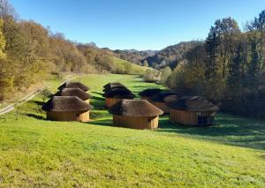 Glamping Bionic healing village