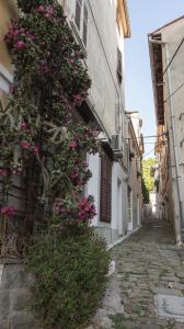 Apartma Tayana Piran - with affordable parking !!! 
