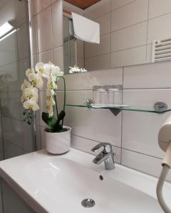 Hotel Am Greiner
