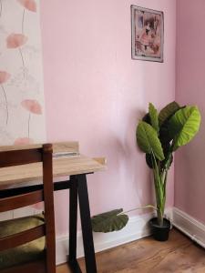 Hotels Ariane : photos des chambres