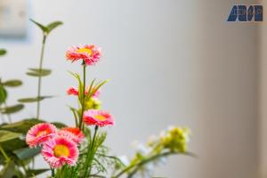 2 Bed Home with Parking Sleeps 4