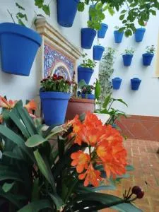 Hotel La Ribera - Adamuz