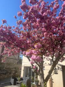 Maison bord de Seine