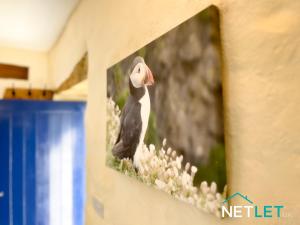 Ty Onnen - A Beautiful Rural Escape in St Davids