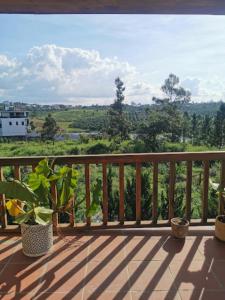 Hồ Mây Homestay