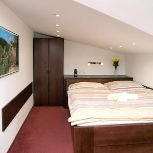Standard Double Room room in Pension Tenis - Centrum