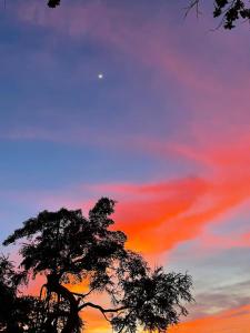 Secluded 4BD Beach Villa, Fast Wifi, Pet Friendly