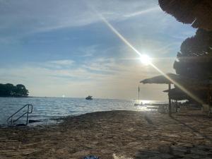 Apartman Matošević