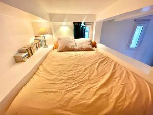 Appartements  Studio Vasconia  Hyper Centre - Mezzanine -Wifi : photos des chambres