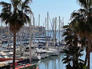 Appartement - Cap dAgde