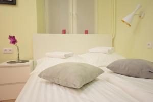 Elegant Apartment Copernicus