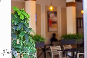 Hotel Cavallino