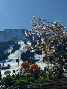 MOUNTAIN LODGE OBERJOCH - Allgäu