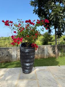 Karisa Nature Villa