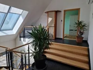 Ferienwohnung Goelz - Bad Schussenried