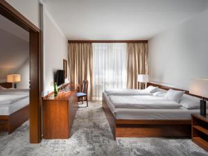 Standard Family Room room in Clarion Hotel Špindlerův Mlýn