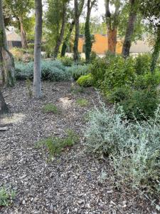 Appartements Bastidon et son patio a Saint Remy de Provence : photos des chambres
