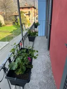 Ganesh Ca Biasca - Osogna