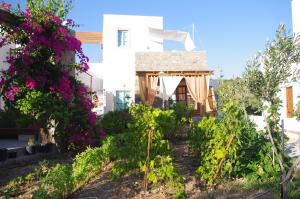 Villa Patmos Netia Patmos Greece