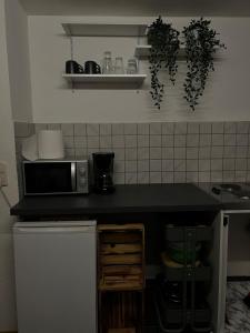 Apartment Plini