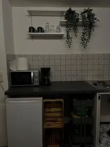 Apartment Plini - 蒙塔鲍尔