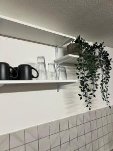 Apartment Plini