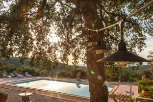 B&B / Chambres d'hotes Mas la Marchette : photos des chambres