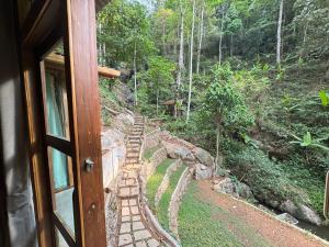 Mii Paa Aii มิ๊ ป๊ะ ไอ