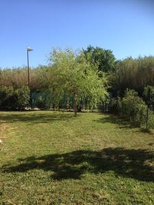 Maisons de vacances Villa tout confort, a 5mn de St Remy de Provence : photos des chambres