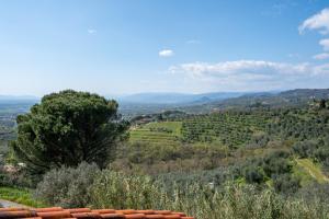 Bed and Breakfast Mea Familia