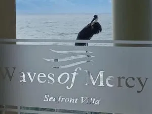 Waves of Mercy - Trafalgar
