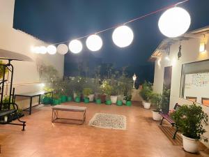 Independent Studio with Terrace in South Delhi