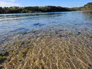 Maisons de vacances Gite Les mouettes qui caquetent : photos des chambres