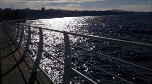 Maisons de vacances Charming house in Concise : photos des chambres