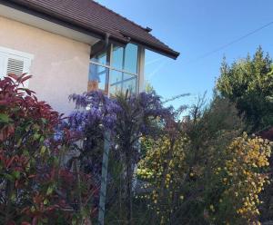 Maisons de vacances Charming house in Concise : photos des chambres