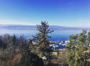 Maisons de vacances Charming house in Concise : photos des chambres