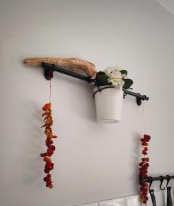 Appartement Deluxe