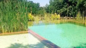 Casas Rurales Camino del Castaño - Castaño de Robledo