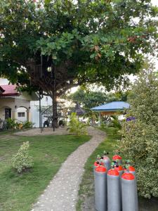 The Shuim Dive Resort Moalboal