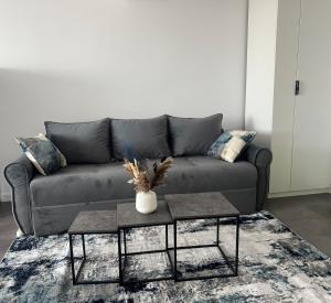 Apartment Cluj, Baciu-Hills