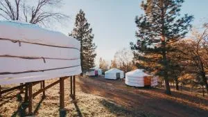 Mongolian yurt at a nature retreat - Dunlap
