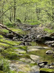 Retreat on Lake Milton