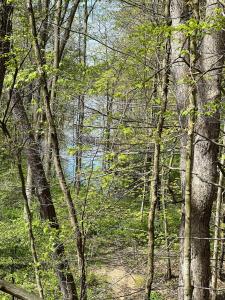 Retreat on Lake Milton