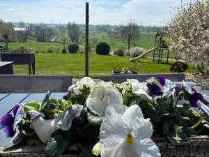 Country house Au Ballet des Hirondelles - 小勒尚